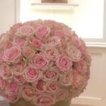 店舗様ディスプレイ