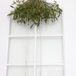 ヤドリギのスワッグ ご自宅用 ¥15,000~