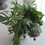 arrangement 〜 A mix of cut flowers and potted plants