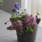 季節の花内容お任せで毎月お届け ¥3,500~