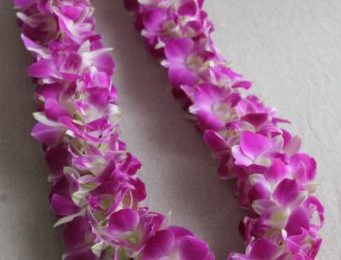 lei