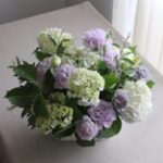 arrangement W60cm